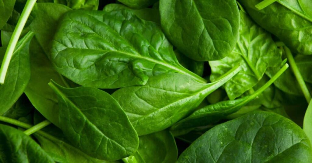 Benifits of Spinach: By consuming spinach juice daily, you will get rid of these diseases, learn how to make