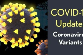 Coronavirus Variants: New variant of Coronavirus will knock soon, WHO warns