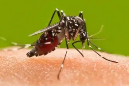 Keep these things in mind to avoid dangerous diseases like dengue, malaria during the rainy season