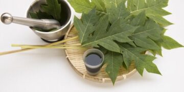 These diseases stay away from the consumption of papaya leaf juice, know its special benefits