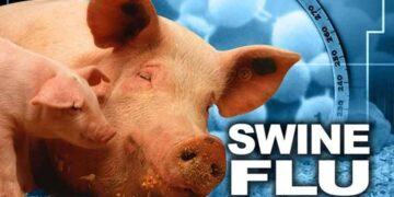 swine-flu