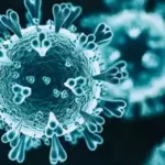 Corona Virus