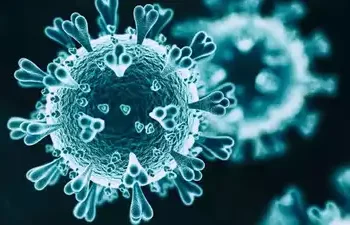 Corona Virus