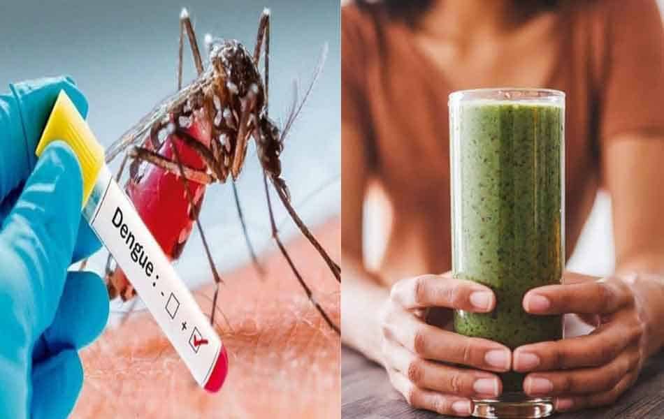 Dengue Home Remedies