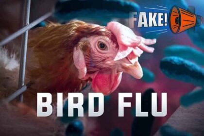 Bird FLU