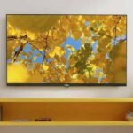 43 Inch LED TV