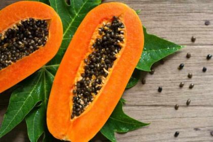 Black seeds of papaya