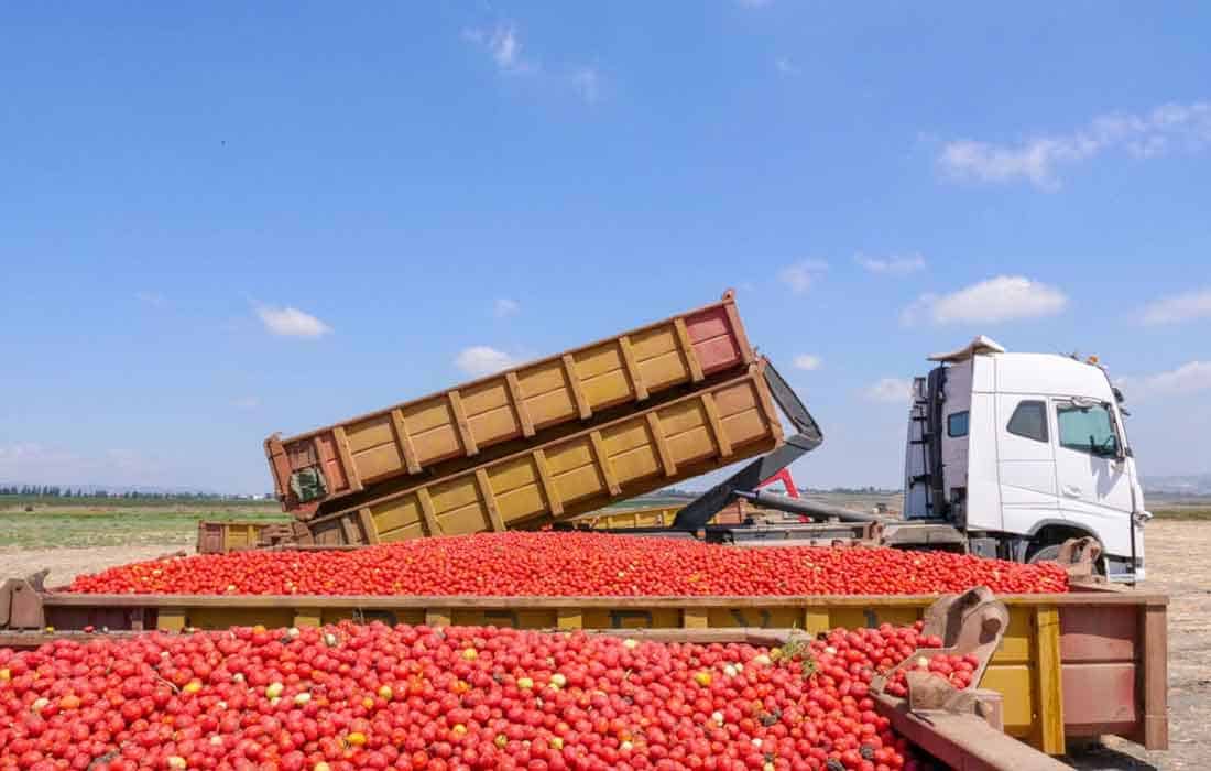 Truck loaded with tomatoes worth 20 lakh missing, FIR registered