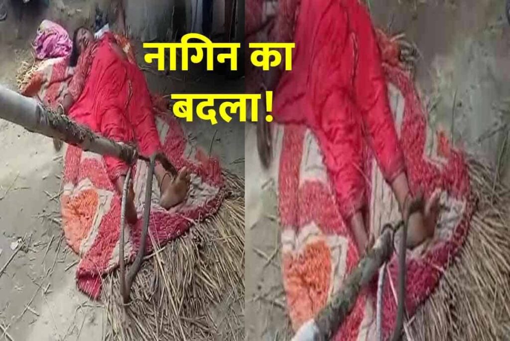 godda-mahagama-jharkhand-woman-lilia-devi-poisonous-snakes-bite-nagin