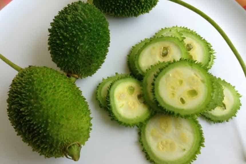 Kakora vegetable is a panacea for health, keep diseases like cancer and sugar under control