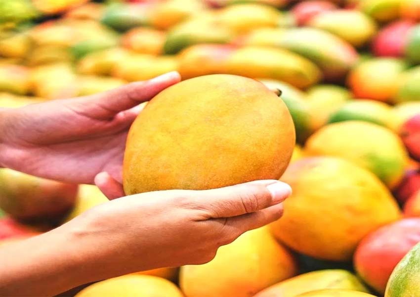 Artificially Ripened Mangoes Seized