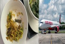 Blade found in Food Served to Passenger on Air India flight