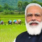 NATIONAL NEWS Farmers in trouble, Union Cabinet gives green signal to increase MSP on 14 Kharif crops