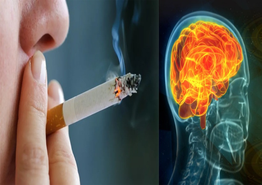 Cigarettes Affect Lungs but Also the Brain