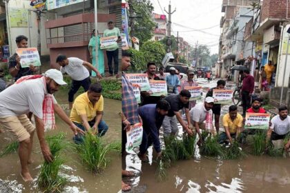 Paddy Planting on the road in Ranchi