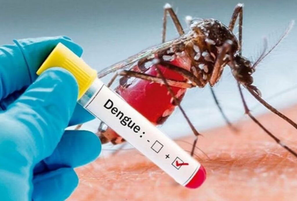 Dengue