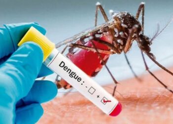 Dengue