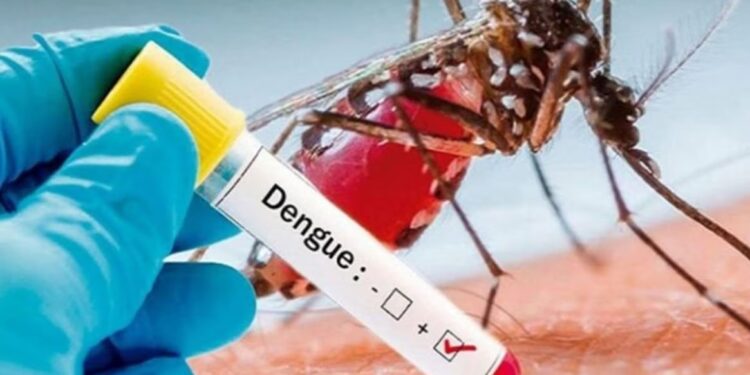 Dengue