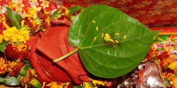 Do these remedies related to betel leaf in Navratri, surefire ways to get success, love and money in life