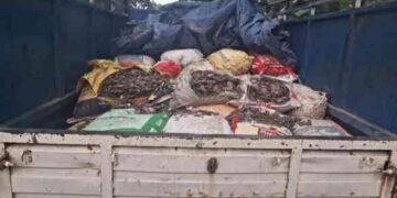 Illegal dump loaded Pickup van