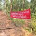 Naxalites Put up Banners