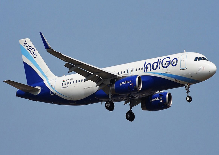 Indigo