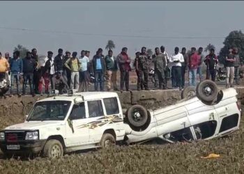 Safari-Car-Collision-with-CO-Car