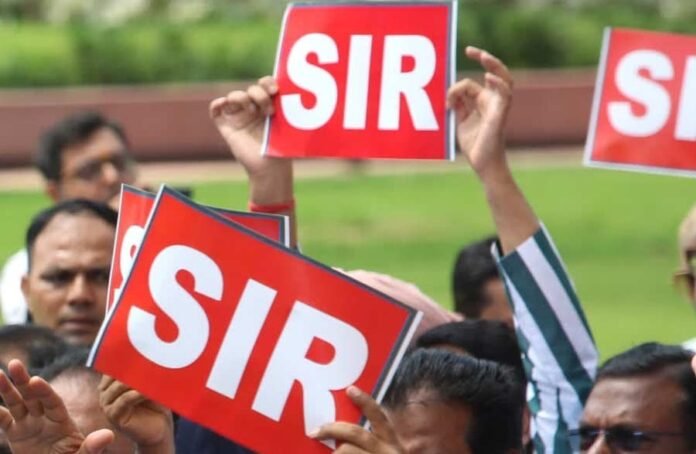 Check your SIR Data from Home